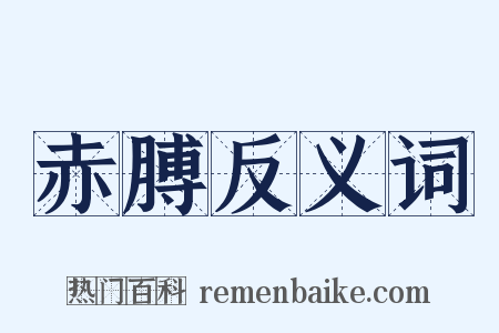 赤膊反义词是什么意思的图片